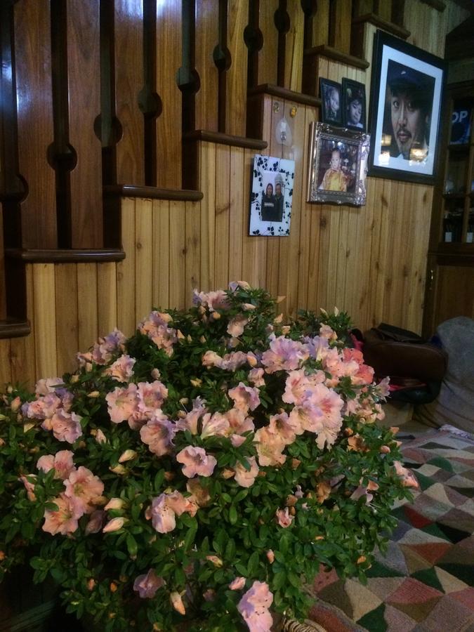 Ngawang Homestay Дарджилинг Экстерьер фото